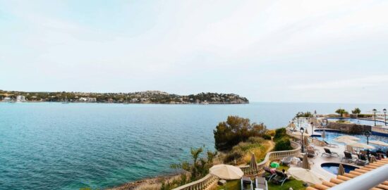 Sentido Fido Punta del Mar